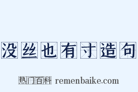 没丝也有寸造句是什么意思的图片